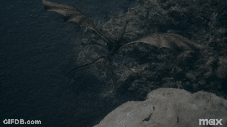 Flying High Vhagar Dragon GIF