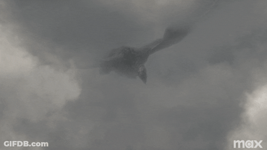 Flying House Vhagar Dragon GIF