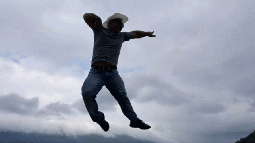 Flying Kung Fu Roundhouse Kick GIF