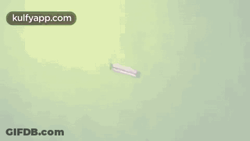 Flying Light Bulbs On Green Background GIF