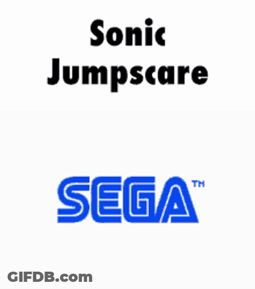 Flying Sonic The Hedgehog Jump Scare GIF