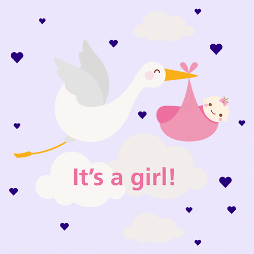 Flying Stork New Baby It's A Girl GIF