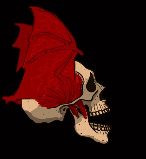 Flying Wings Skull Crushers GIF