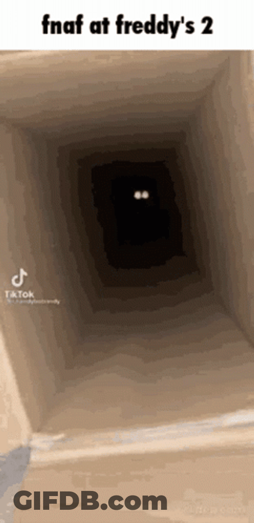 FNAF Cat Jumpscare Meme GIF
