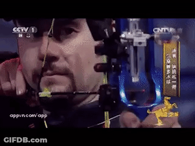 Focus Awesome Archery Sport GIF