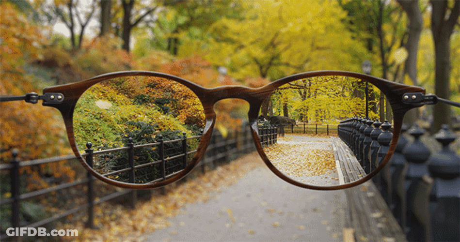 Focus Eyeglass Falling Leaves GIF