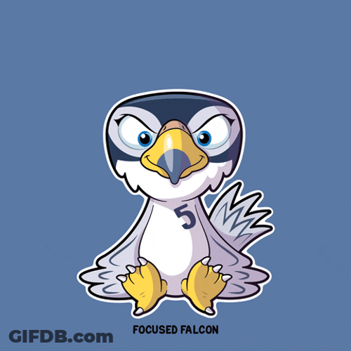 Focused Baby Falcon GIF