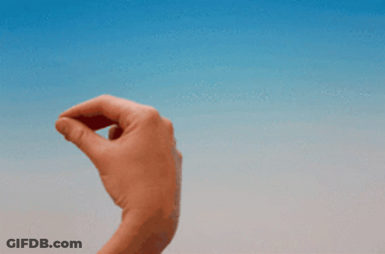 Focused Italian Hand Gesture GIF