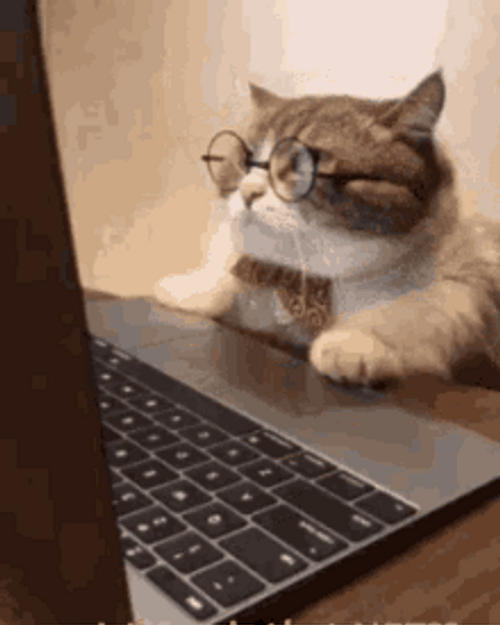 Focused Nerd Cat Working Hard GIF