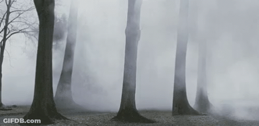 Fog GIF