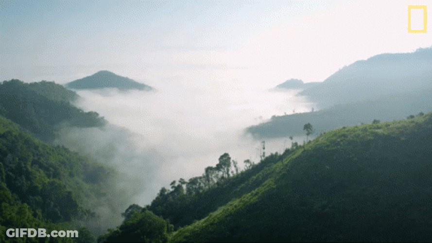 Fog In The Mountains GIF