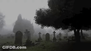 Foggy Cemetery With Graves And Trees GIF