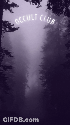 Foggy Forest Occult Club GIF