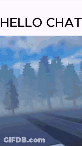 Foggy Forest Saying Hello Chat GIF
