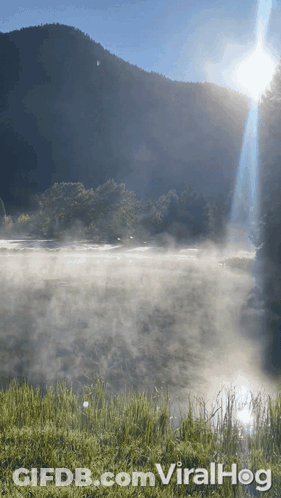 Foggy Lake With Viralhog GIF