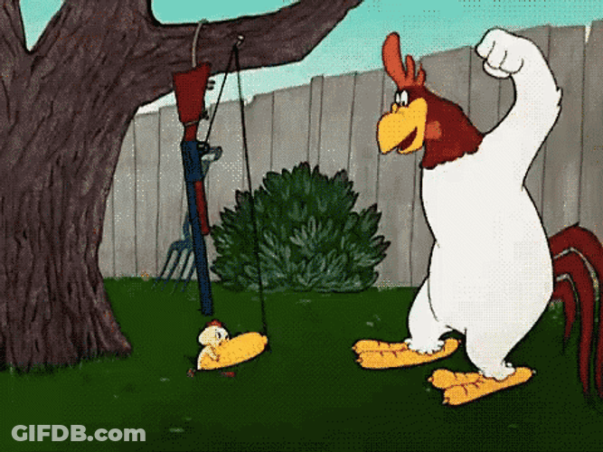 Foghorn Leghorn Shotgun Fired On Head GIF