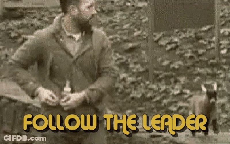 Follow Up With Leaders GIF