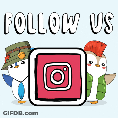 Follow Us Up On Our Every Platform Accounts GIF