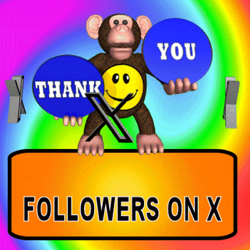 Followers On X X Followers GIF