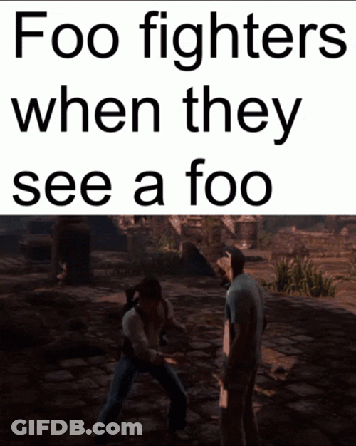 Foo Fighters When They See A Foo GIF