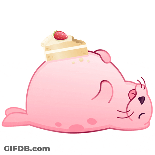 Food Coma Cute Seal Over Eaten GIF