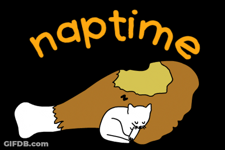 Food Coma Full Cat Naptime GIF