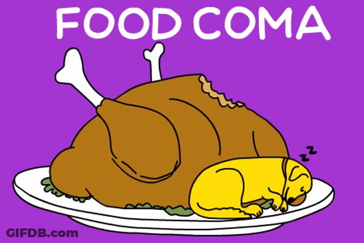 Food Coma Thanksgiving Turkey GIF