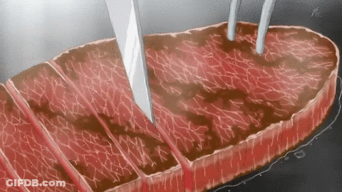 Food Cut Off GIF