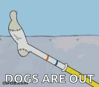 Foot Cartoon Saying Dogs Are Out GIF