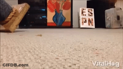 Foot Standing On Carpet Next To Book Called Es Pn GIF
