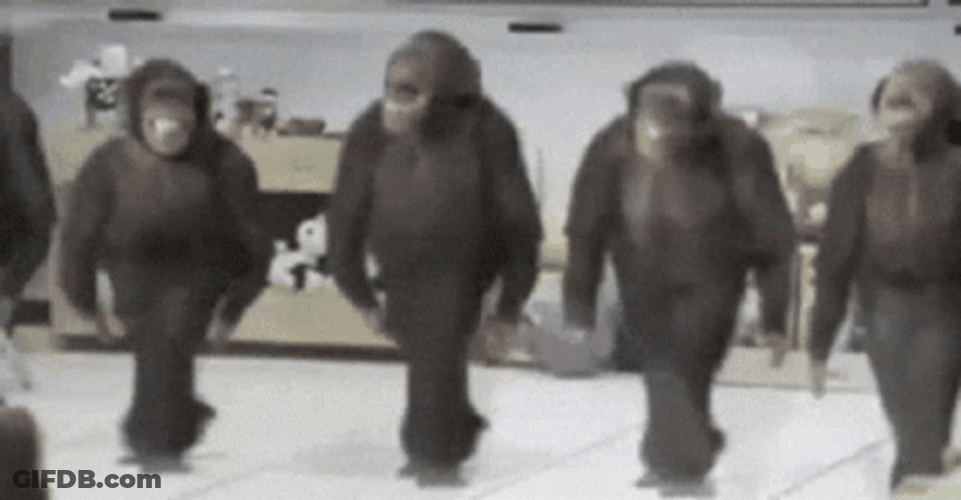 Foot Work Gorilla Dancing GIF