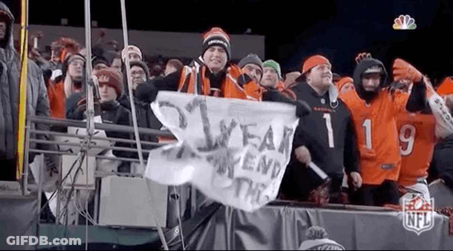 Football Bengals Who Dey Supportive Fans GIF