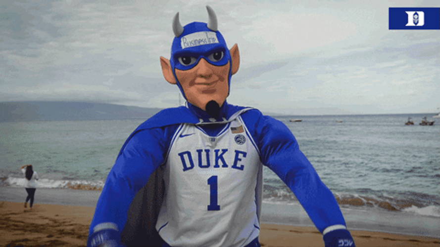 Football Duke 1 Mascot Number 1 Hawaii GIF