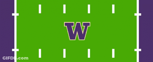 Football Field Saying Touchdown Washington GIF