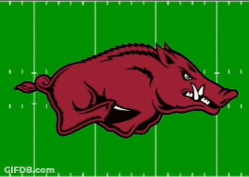 Football Field With Arkansas Written On It GIF