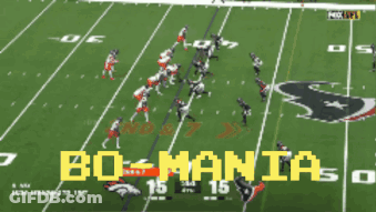 Football Field With Bo-Mania GIF