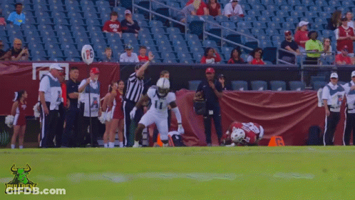 Football Field With Bullpen Logo GIF