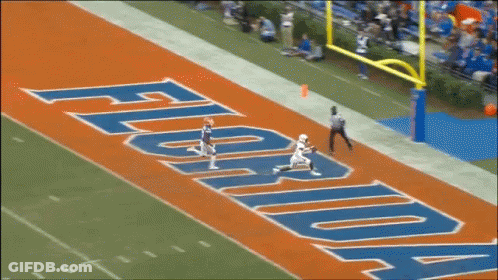 Football Field With Florida On The Side GIF