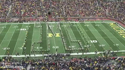 Football Field With Michigan On Side GIF