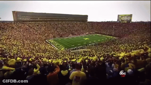 Football Field With Michigan GIF