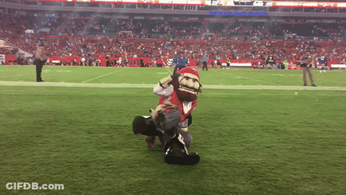 Football Field With Number 20 On Sidelines GIF