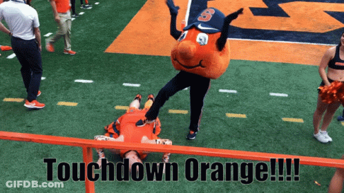 Football Field With Touchdown Orange Fence GIF