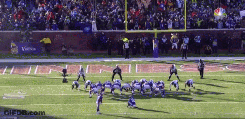 Football Field With Vikings GIF