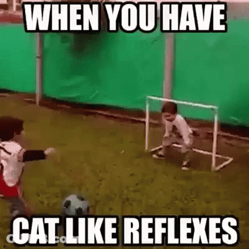 Football Funny When You Have Cat Like Reflexes GIF
