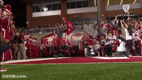 Football Game At Stadium Saying Networks GIF