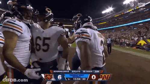 Football Game Bears Vs Washington Redskins GIF