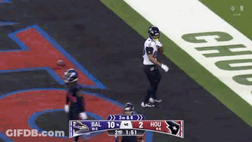Football Game Between BAL And HOU GIF