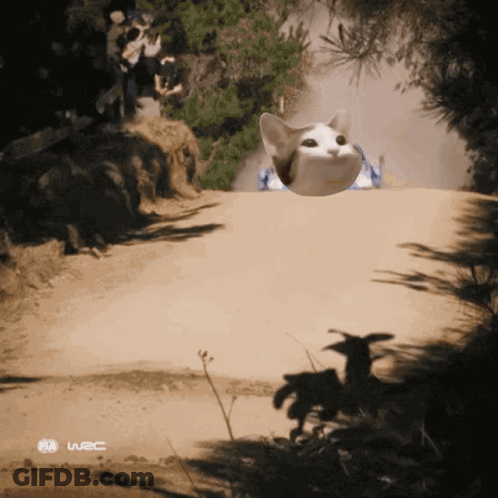 Football Game Between Den And Was 13-14 GIF