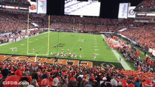 Football Game In Clemson Stadium GIF