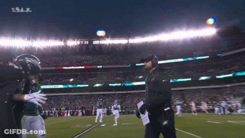 Football Game In Eagles Stadium GIF